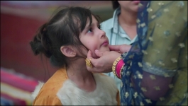 Meet - 29th May 2023